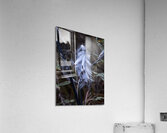 FLO 02312 Acrylic Print