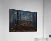 LAN 02297 Acrylic Print