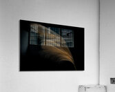 MIS 02215 Acrylic Print