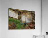 MIS 02226 Acrylic Print