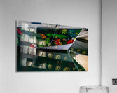 MIS 02132 Acrylic Print