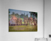 PEO 02350 Acrylic Print