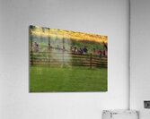 PEO 02346 Acrylic Print