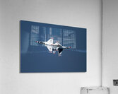 *ACT 02181 Acrylic Print