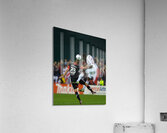 ACT 02344 Acrylic Print