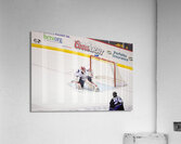 *ACT 02379 Acrylic Print