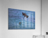 ACT 02142 Acrylic Print