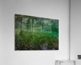 WAT 02229 Acrylic Print