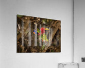 BIR 02382 Acrylic Print