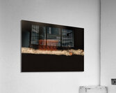 INS 02413 Acrylic Print