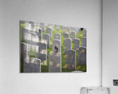 MIS 02422 Acrylic Print