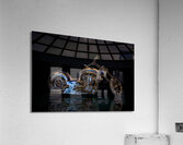 MIS 02412 Acrylic Print