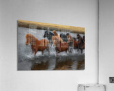 ANI 02455 Acrylic Print