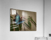 INS 02430 Acrylic Print
