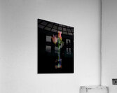 FLO 02469 Acrylic Print