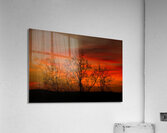 LAN 02471 Acrylic Print