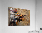 ABS 02481 Acrylic Print
