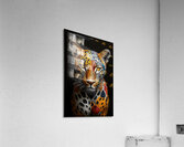 ABS 02493 Acrylic Print