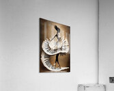 ABS 02508 Acrylic Print