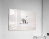 LAN 02546 Acrylic Print