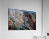ABS 02564 Acrylic Print