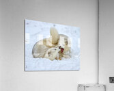 ANI 02575 Acrylic Print