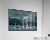 MIS 02579 Acrylic Print