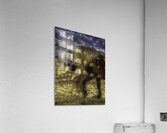 ANI 02608 Acrylic Print
