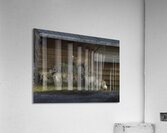 ANI 02594 Acrylic Print