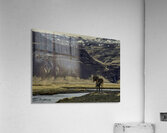 ANI 02609 Acrylic Print