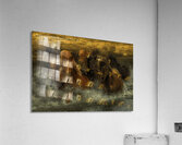 ANI 02611 Acrylic Print