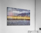 ANI 02606 Acrylic Print