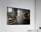 ANI 02604 Acrylic Print