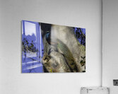 BIR 02600 Acrylic Print