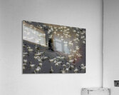 BIR 02602 Acrylic Print