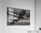 BIR 02623 Acrylic Print