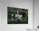 BIR 02610 Acrylic Print