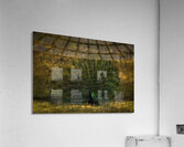 BIR 02627 Acrylic Print