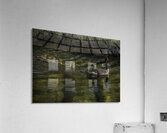 BIR 02621 Acrylic Print