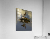 BIR 02614 Acrylic Print