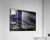 FLO 02598 Acrylic Print