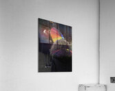 PEO 02615 Acrylic Print