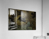 ABS 02662 Acrylic Print