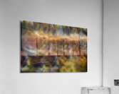 ABS 02658 Acrylic Print