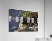 BIR 02657 Acrylic Print