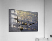 BIR 02651 Acrylic Print