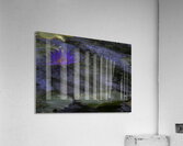 FLO 2685 Acrylic Print