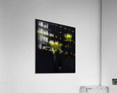 FLO 2697 Acrylic Print