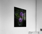 FLO 2696 Acrylic Print