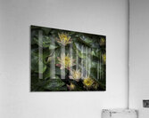 FLO 2706 Acrylic Print